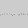 Mouse Anti-Bovine Type I Collagen IgG Antibody Assay Kit, (OPD)